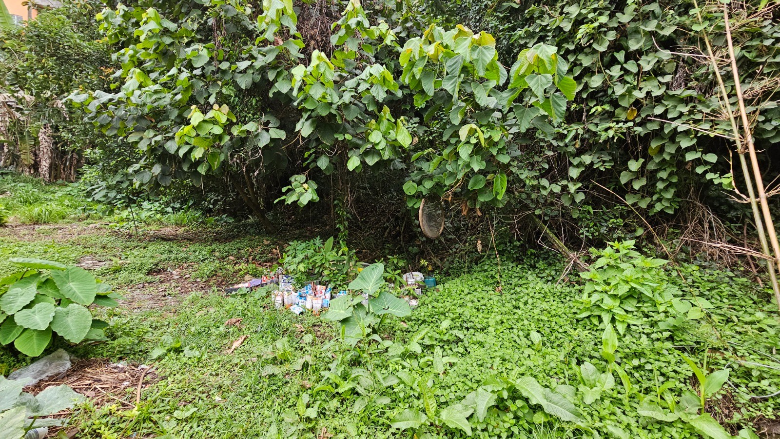 Apartamento, 2 quartos, 62 m² - Foto 26