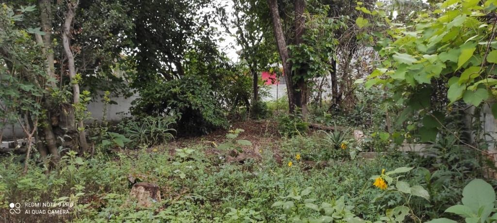 Terreno à venda com 2 quartos, 500m² - Foto 4
