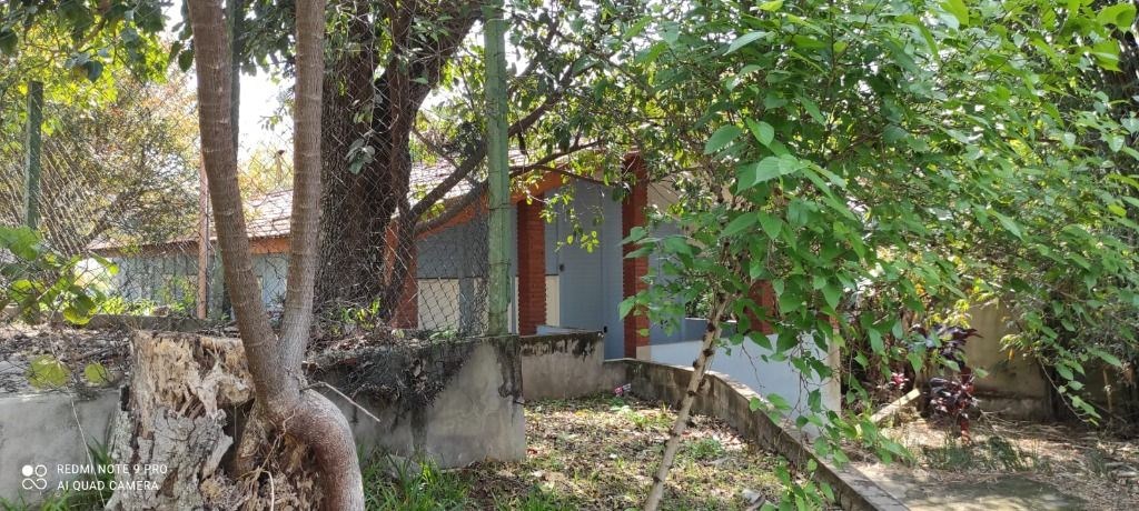 Terreno, 3 hectares - Foto 27