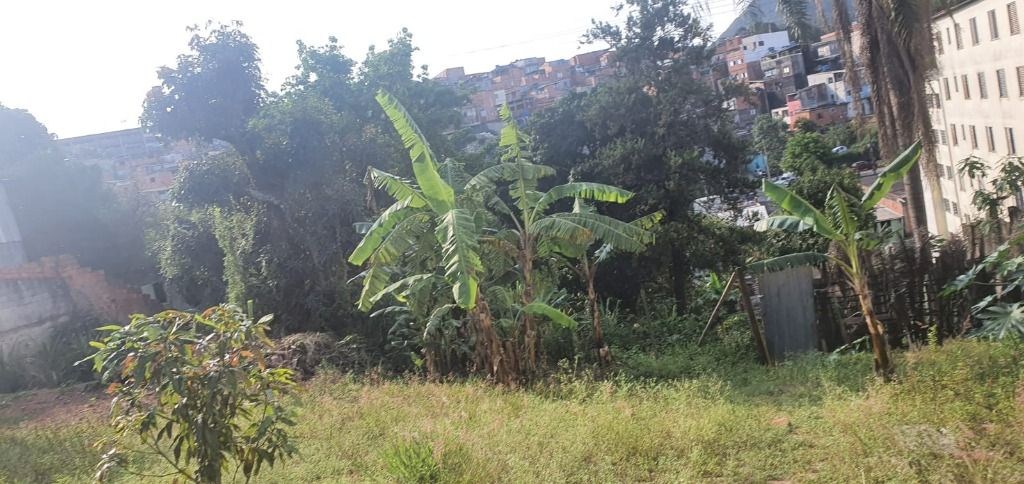 Terreno, 2000 m² - Foto 15