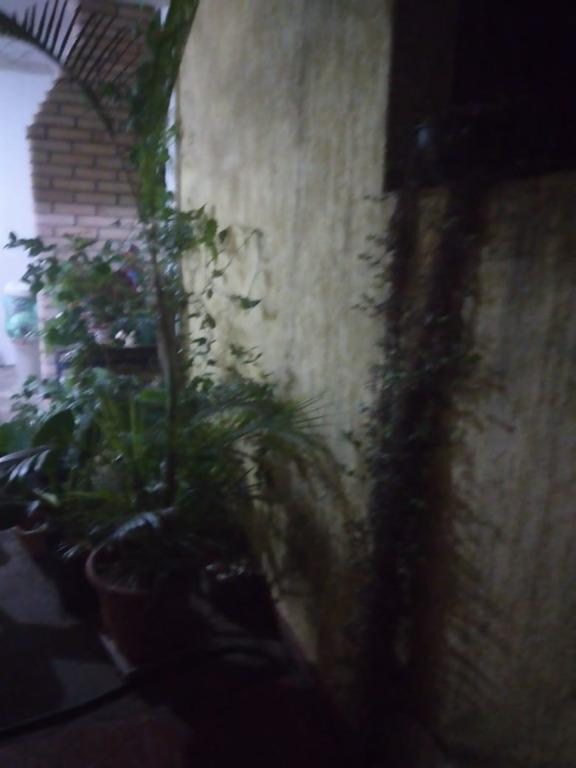 Casa, 3 quartos, 125 m² - Foto 28