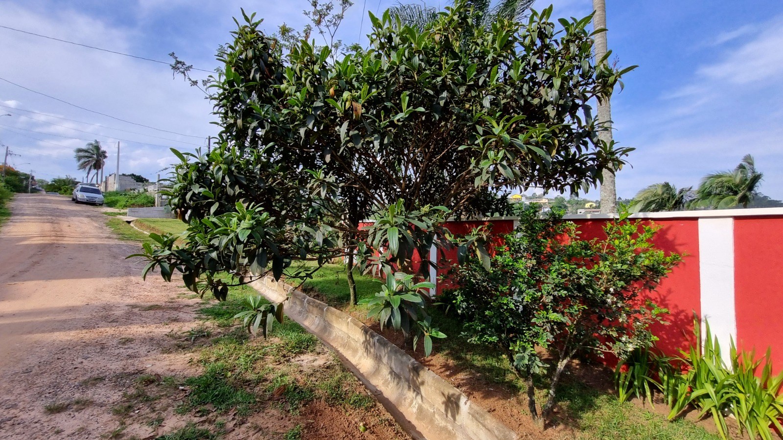 Chácara, 2 quartos, 1176 m² - Foto 41