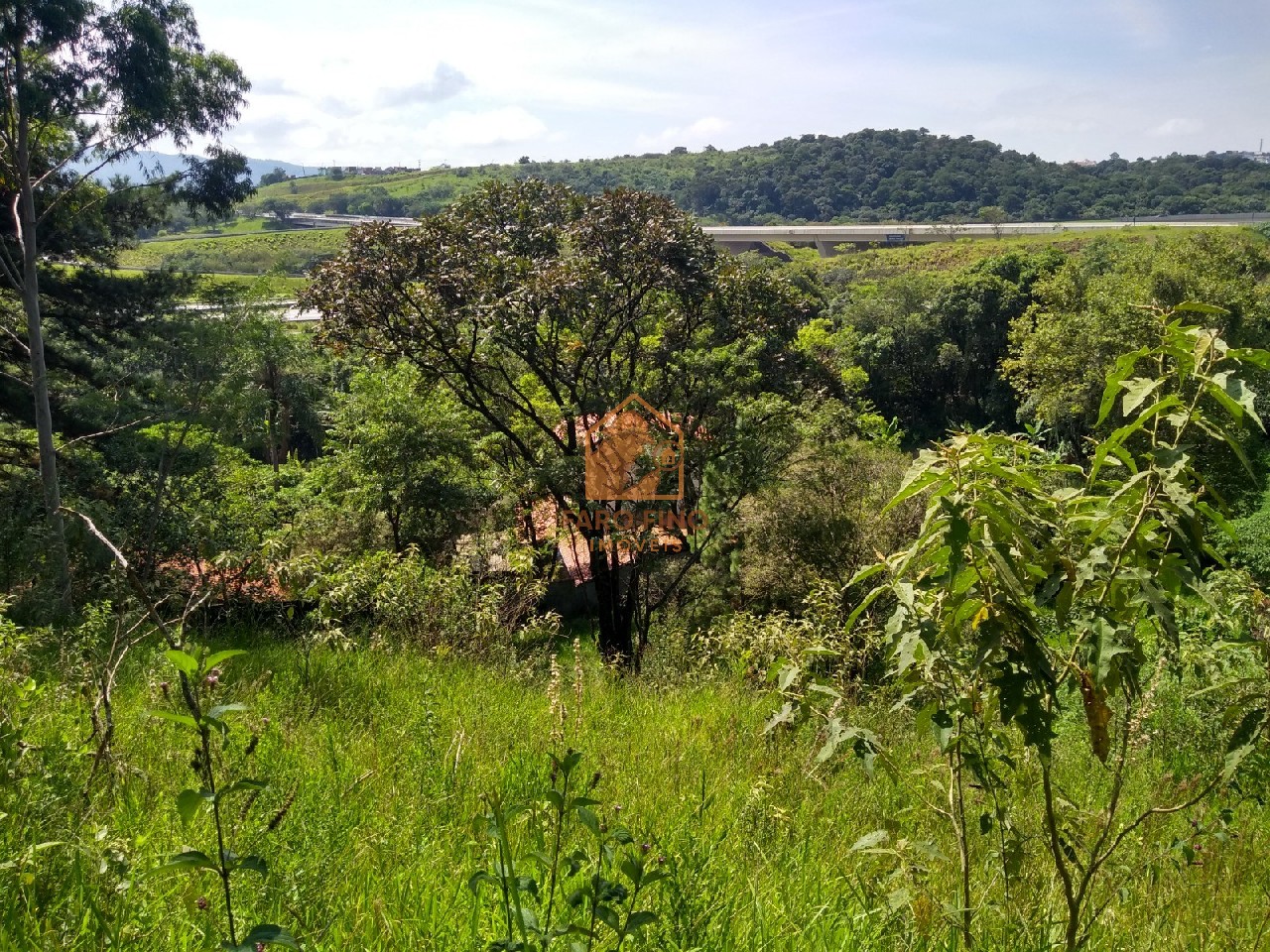 Terreno à venda, 12000m² - Foto 12