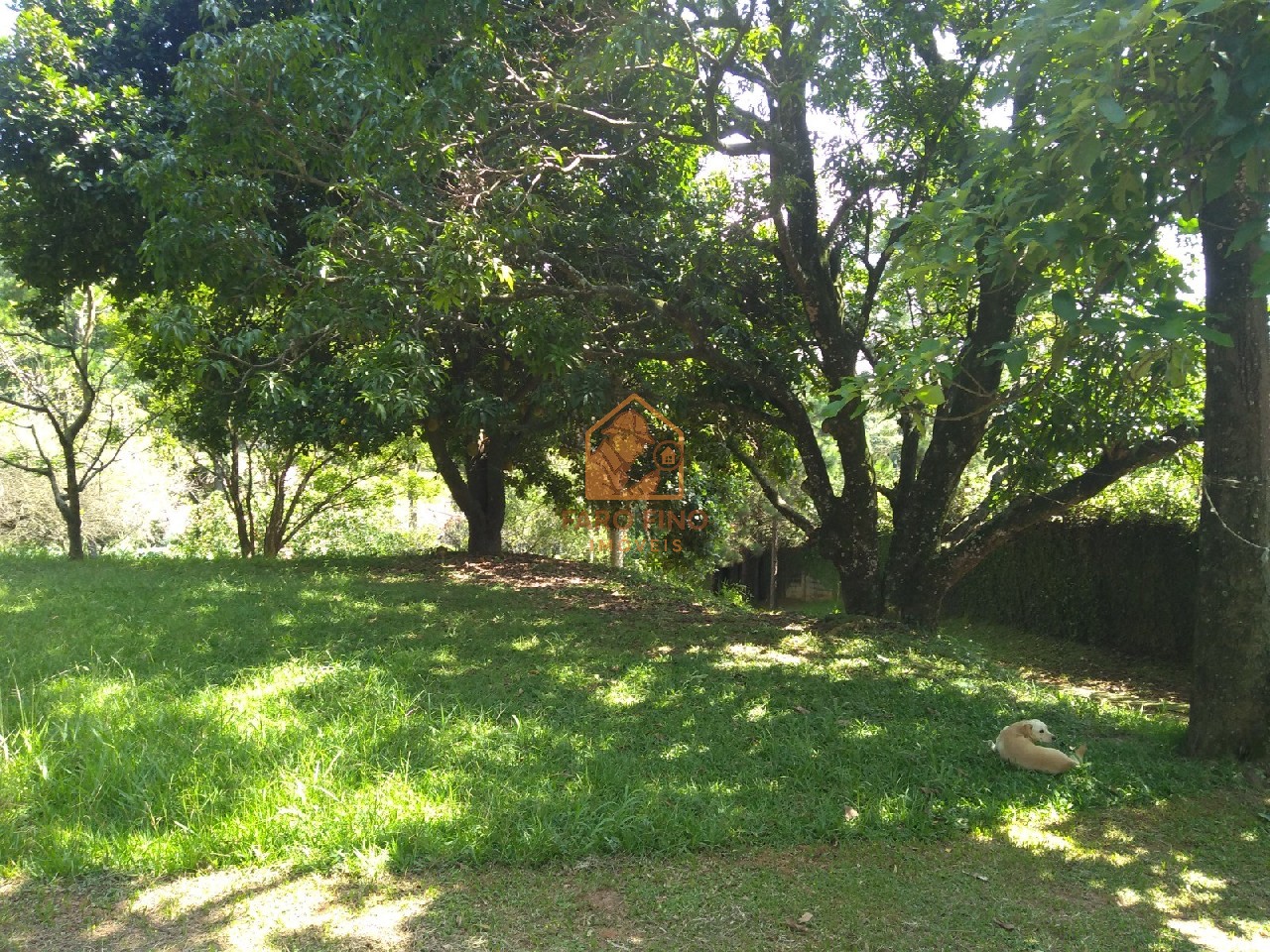 Terreno à venda, 12000m² - Foto 2