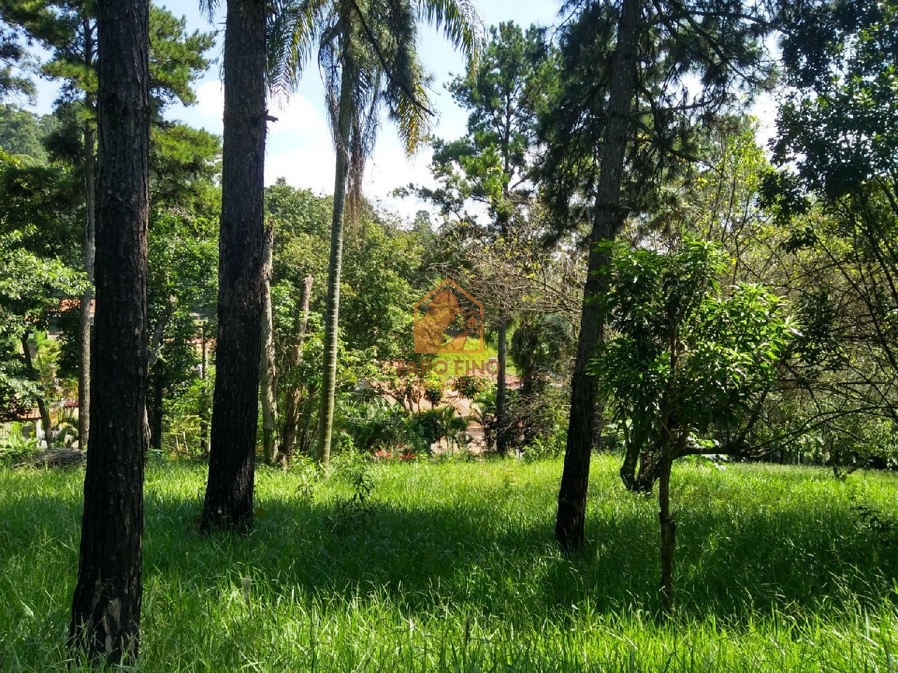 Terreno à venda, 12000m² - Foto 4