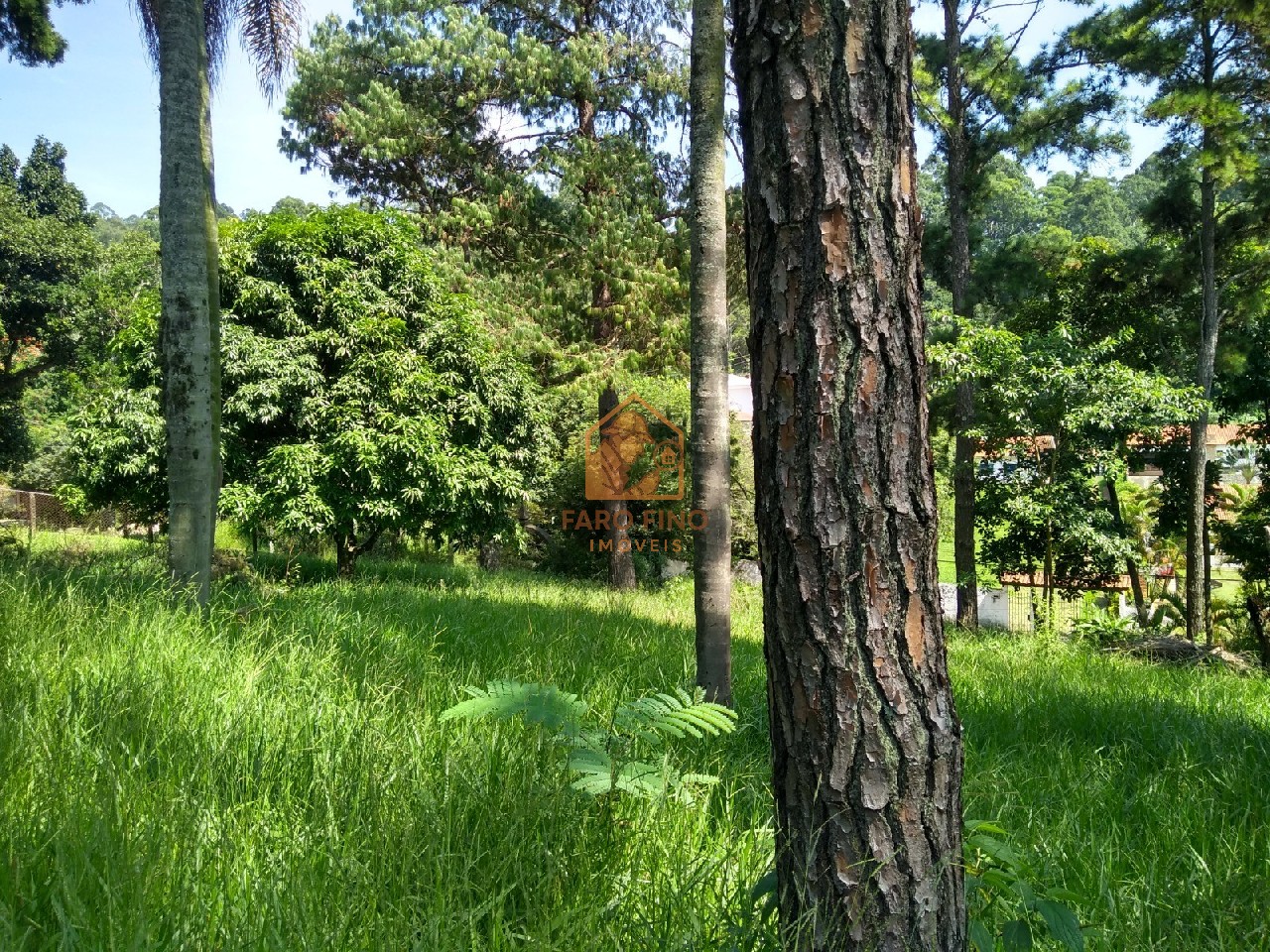 Terreno à venda, 12000m² - Foto 5