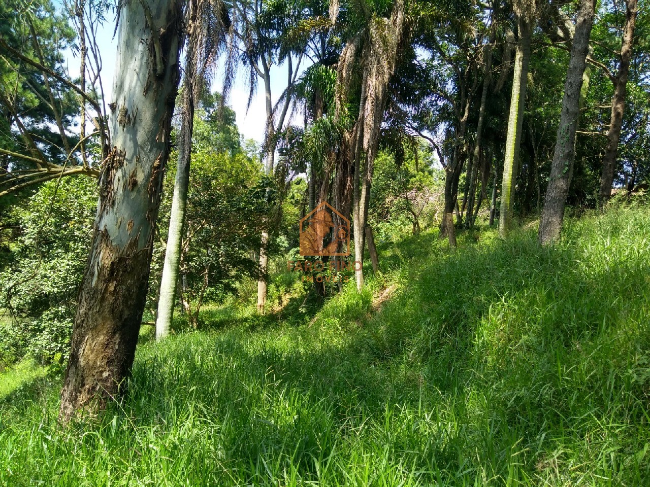 Terreno à venda, 12000m² - Foto 6