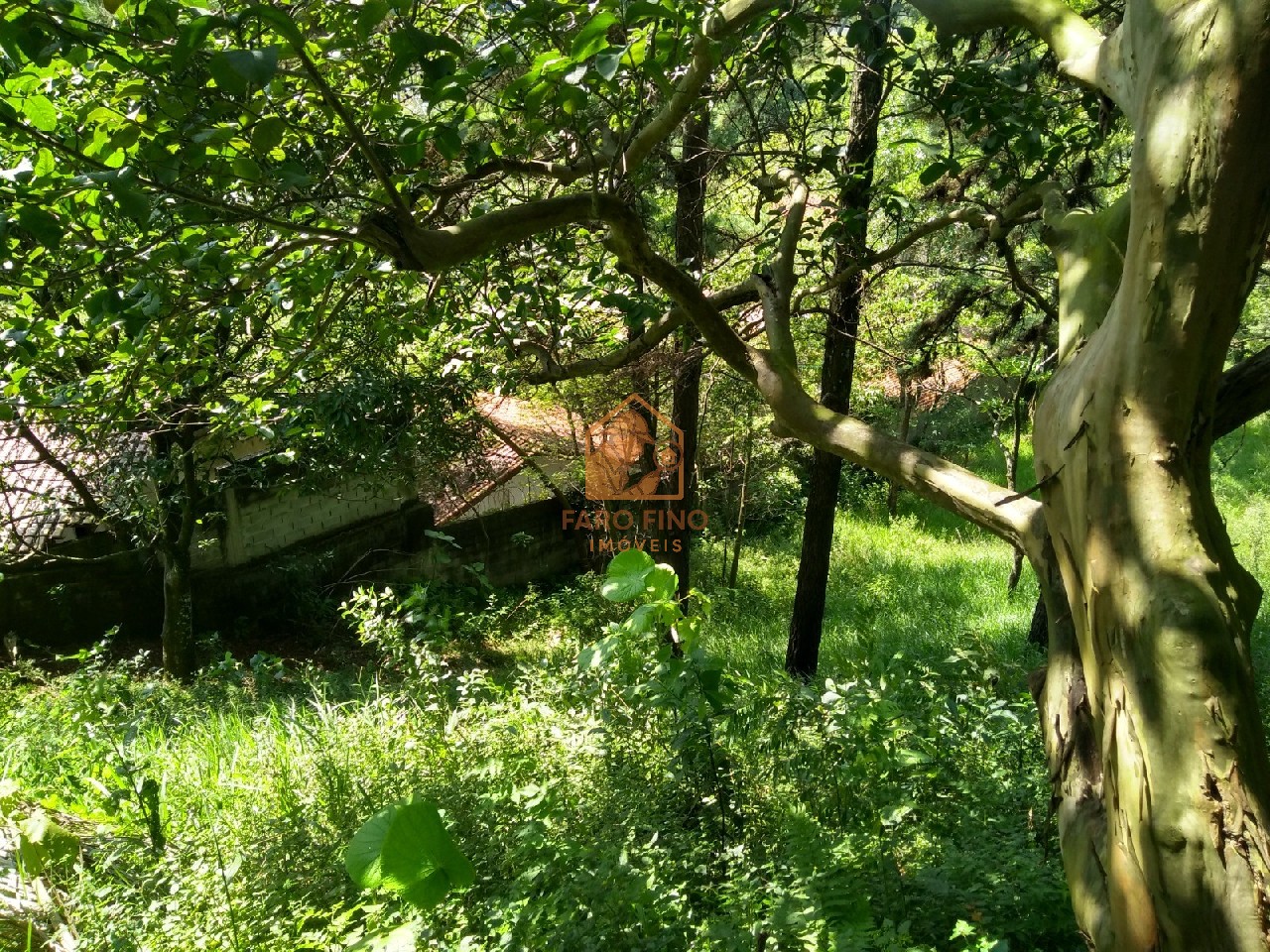Terreno à venda, 12000m² - Foto 7