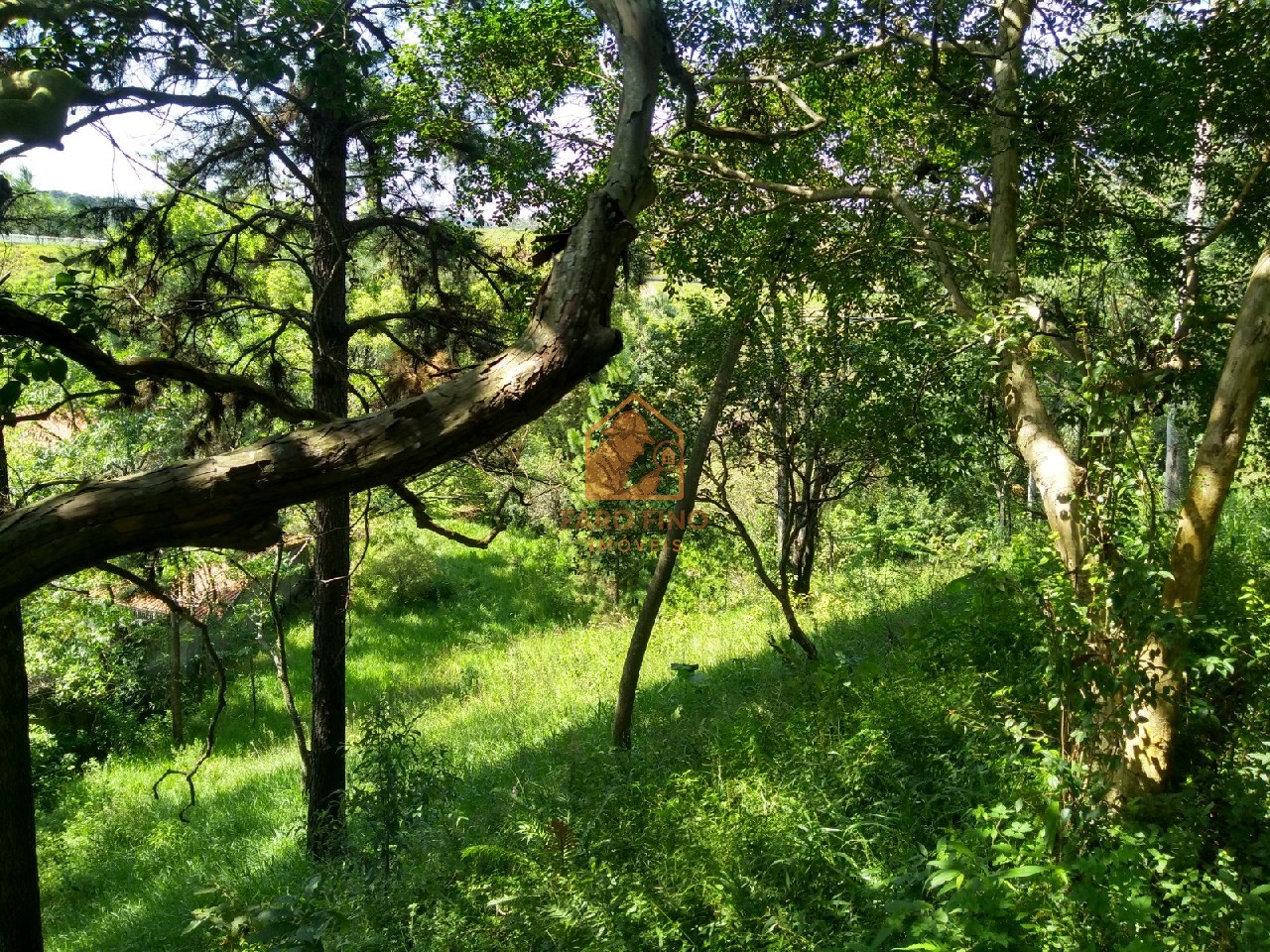 Terreno à venda, 12000m² - Foto 8