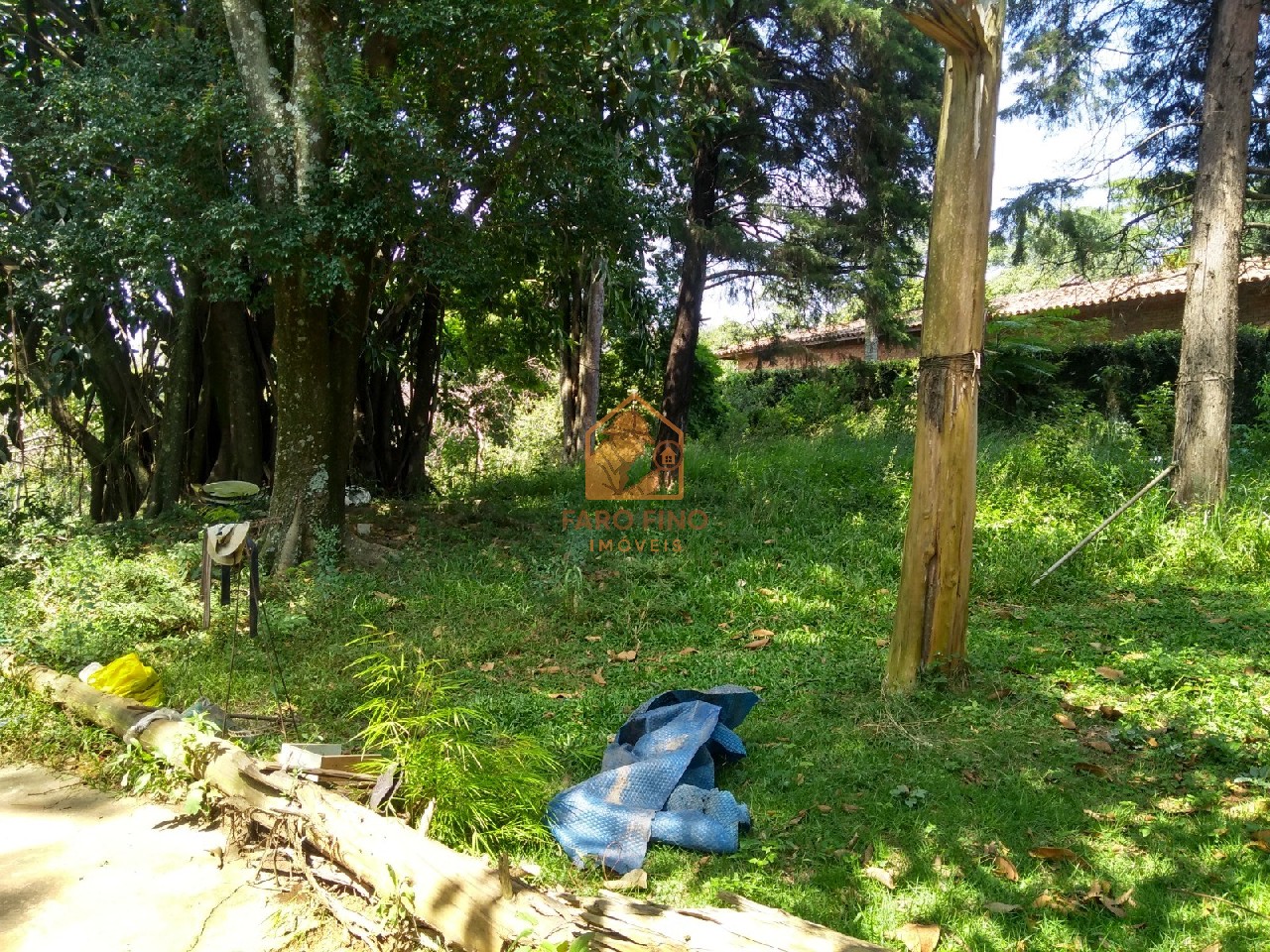 Terreno à venda, 12000m² - Foto 11