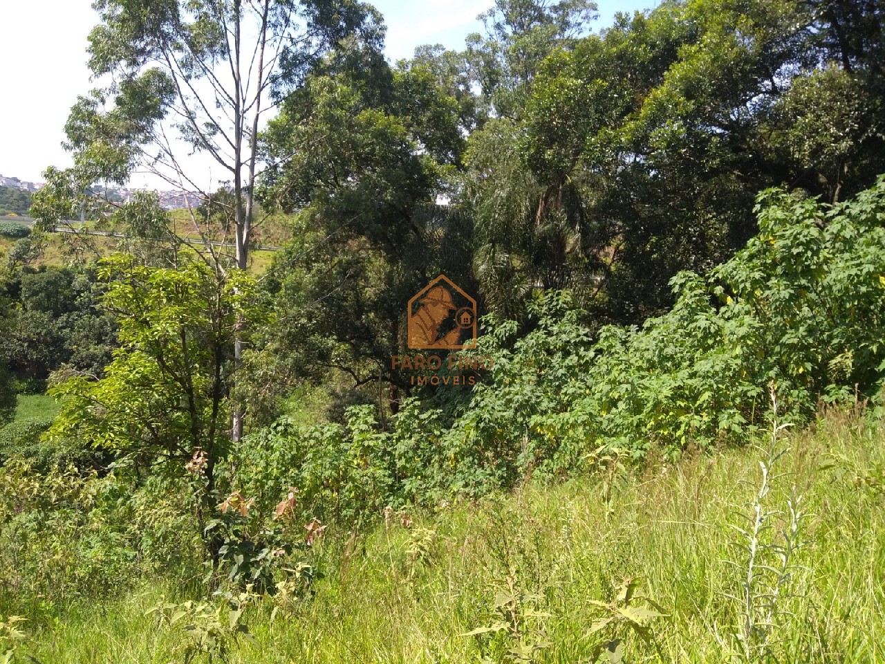 Terreno à venda, 12000m² - Foto 16