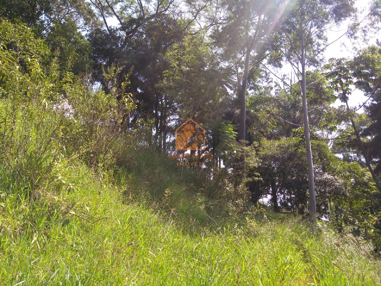 Terreno à venda, 12000m² - Foto 10