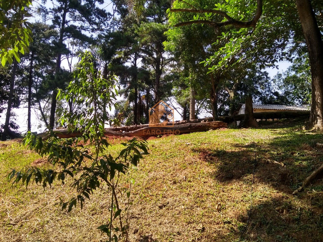 Terreno à venda, 12000m² - Foto 3
