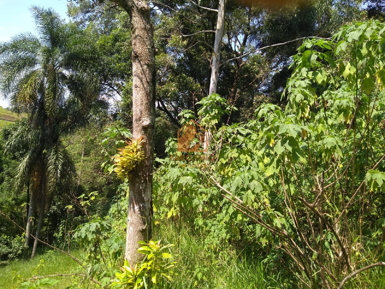 Terreno à venda, 12000m² - Foto 9