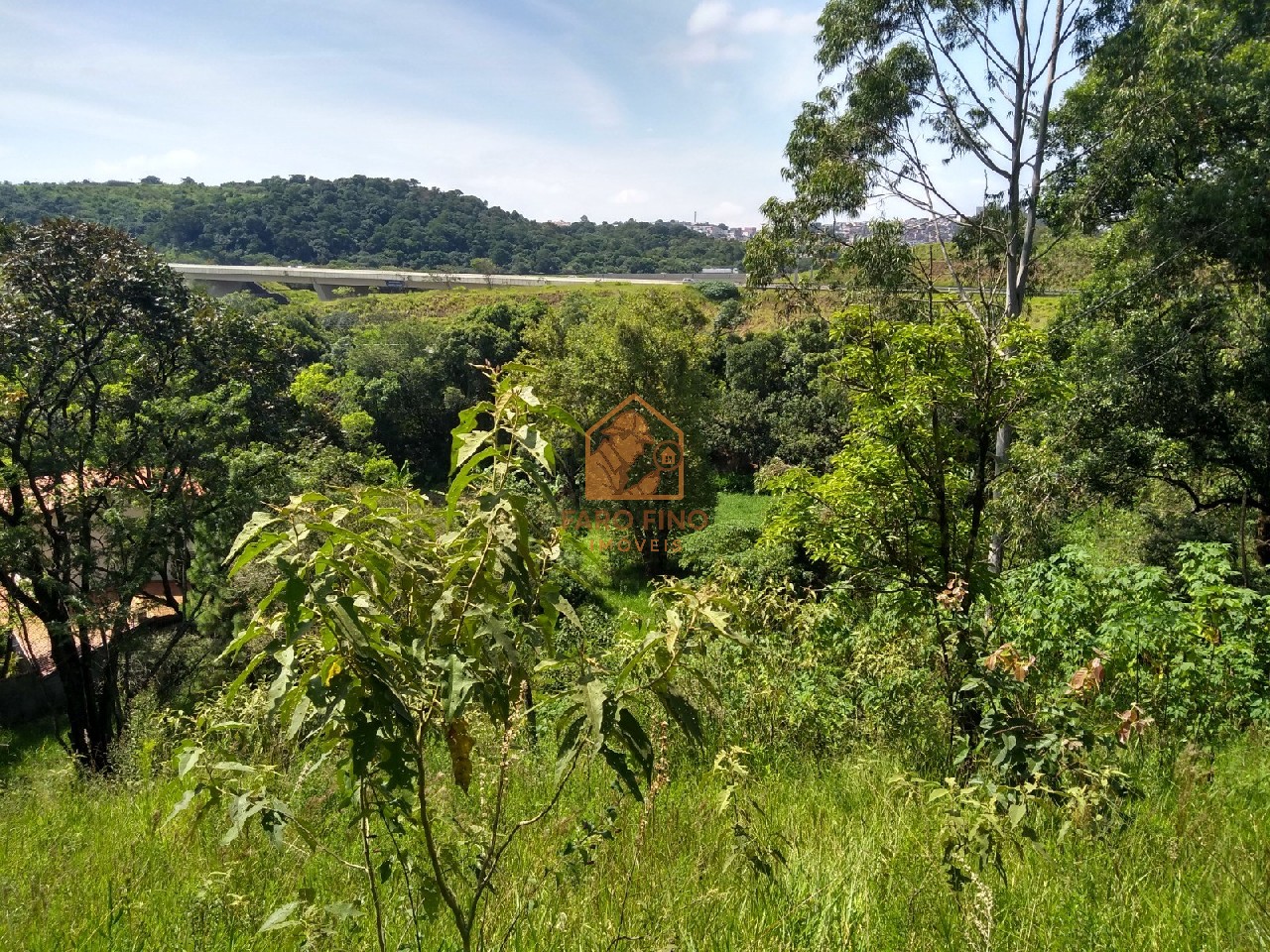 Terreno à venda, 12000m² - Foto 15