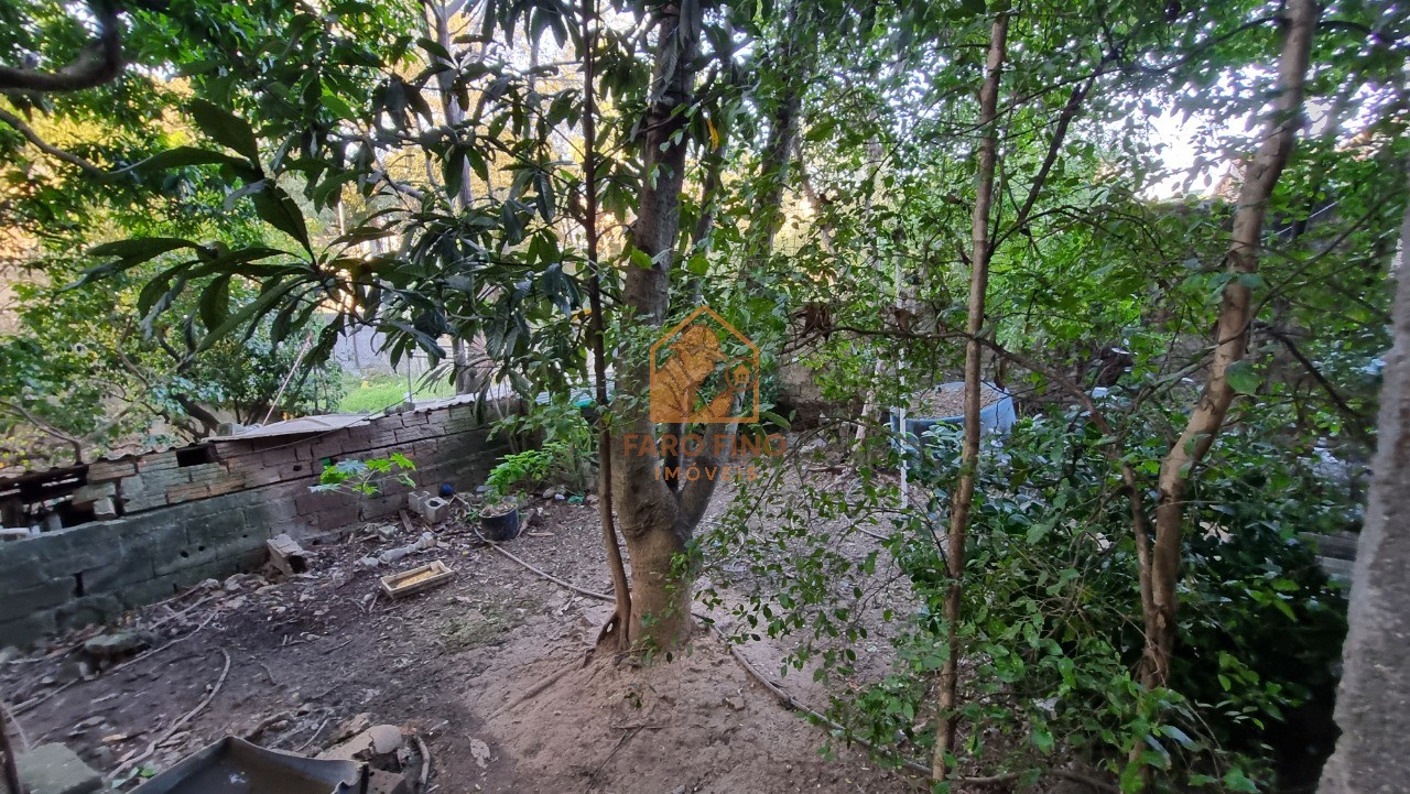 Terreno à venda, 1300m² - Foto 6