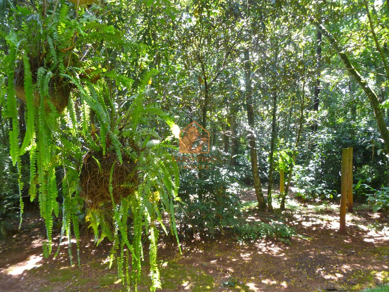 Chácara, 7 quartos - Foto 22