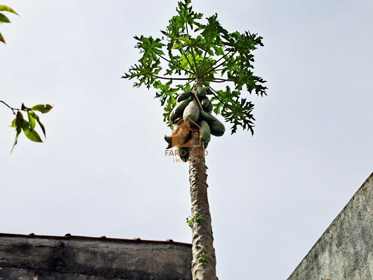 Casa, 3 quartos, 262 m² - Foto 6