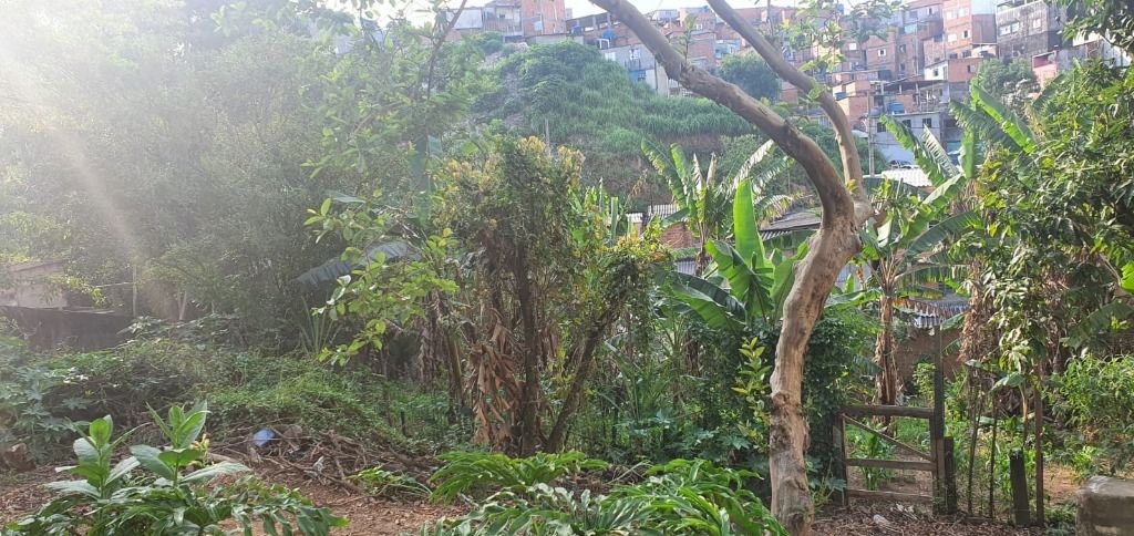 Terreno, 2000 m² - Foto 17