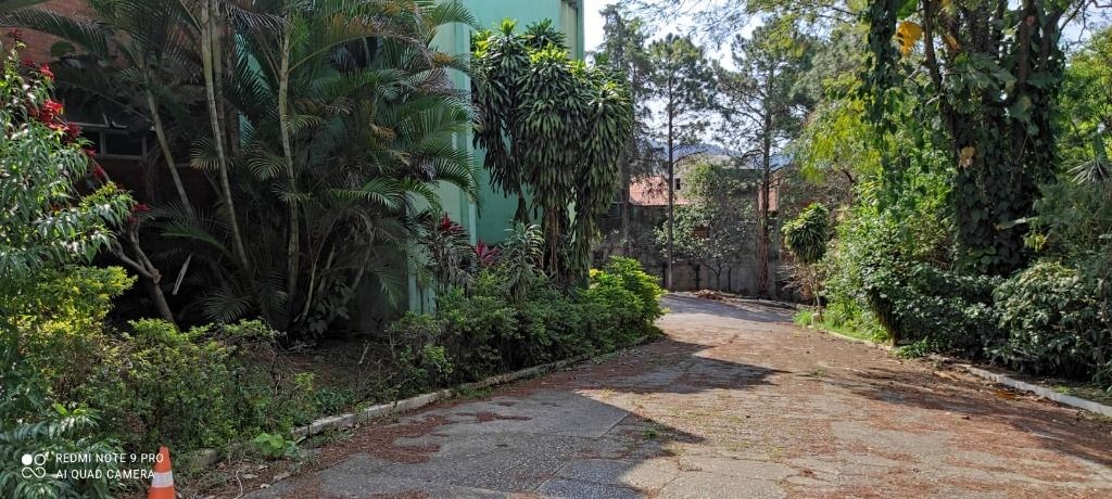 Terreno, 3 hectares - Foto 3