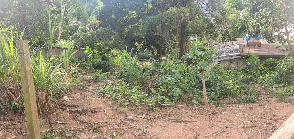 Terreno, 2000 m² - Foto 7