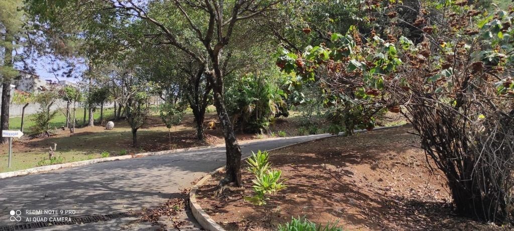 Terreno, 3 hectares - Foto 23