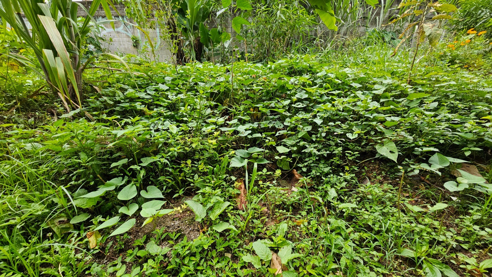 Apartamento, 2 quartos, 62 m² - Foto 25