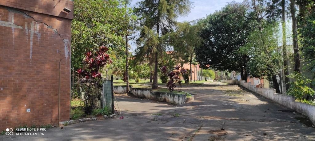 Terreno, 3 hectares - Foto 1