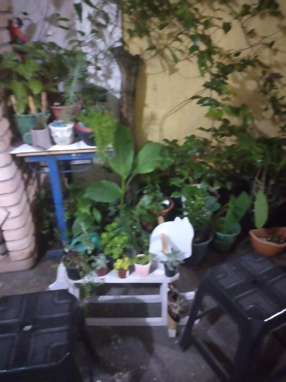 Casa, 3 quartos, 125 m² - Foto 5