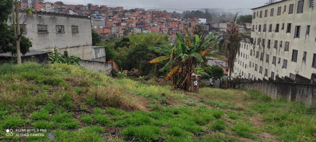 Terreno, 2000 m² - Foto 5