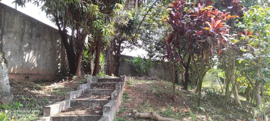 Terreno, 3 hectares - Foto 18