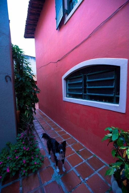 Casa, 3 quartos, 180 m² - Foto 12