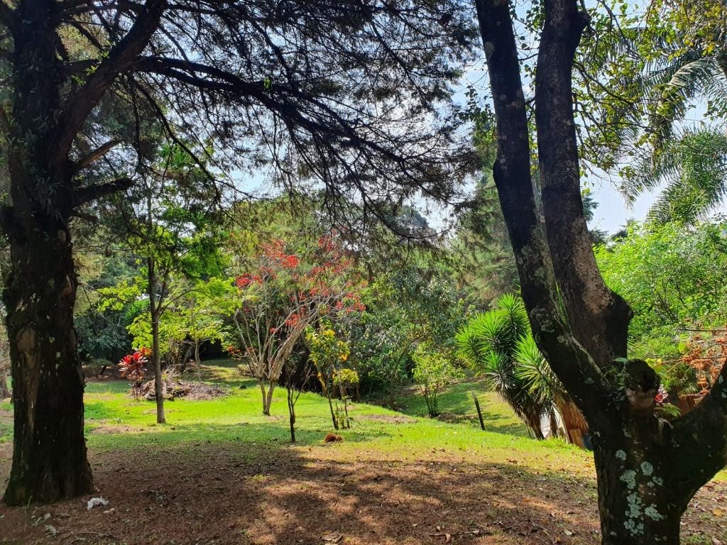 Terreno, 3 hectares - Foto 13