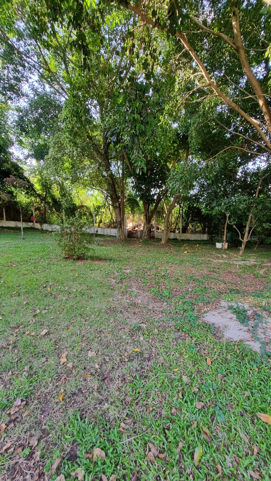 Casa, 4 quartos, 230 m² - Foto 53