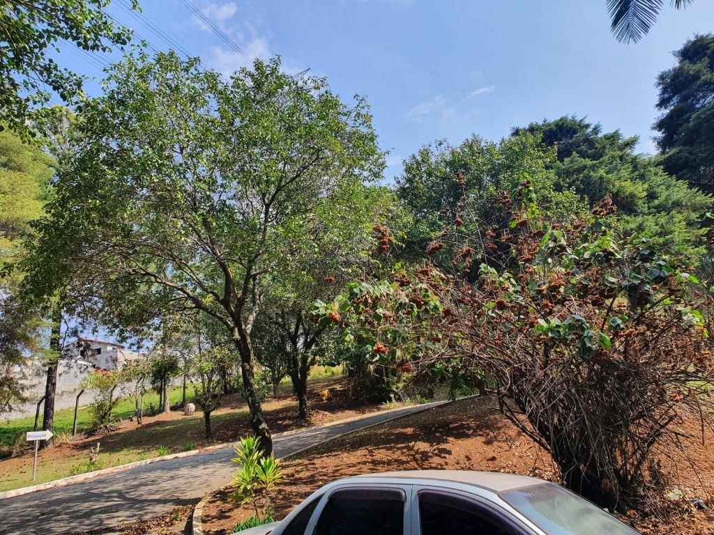 Terreno, 3 hectares - Foto 22