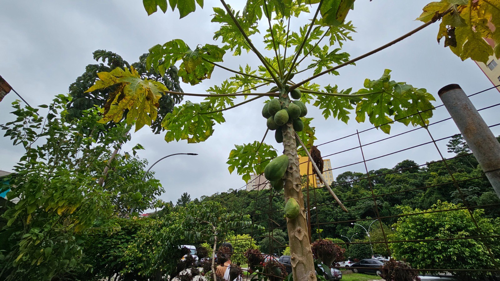 Apartamento, 2 quartos, 62 m² - Foto 28