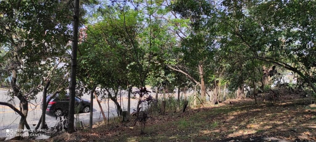 Terreno, 3 hectares - Foto 35