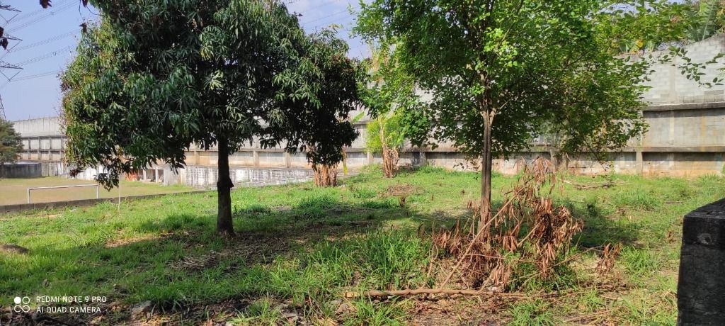 Terreno, 3 hectares - Foto 24