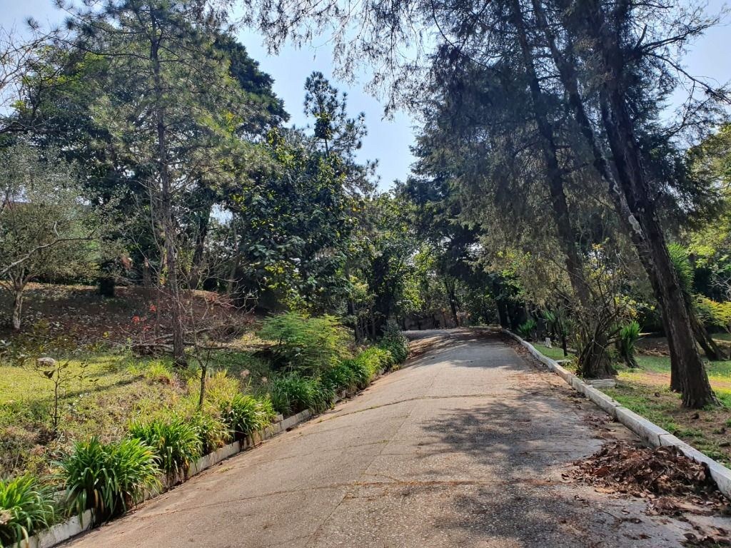 Terreno, 3 hectares - Foto 14