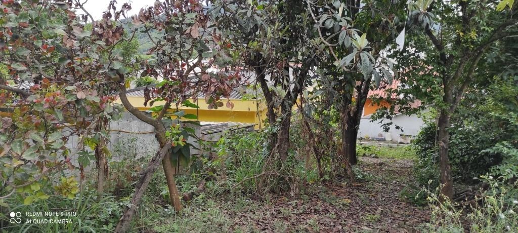 Terreno à venda com 2 quartos, 500m² - Foto 11