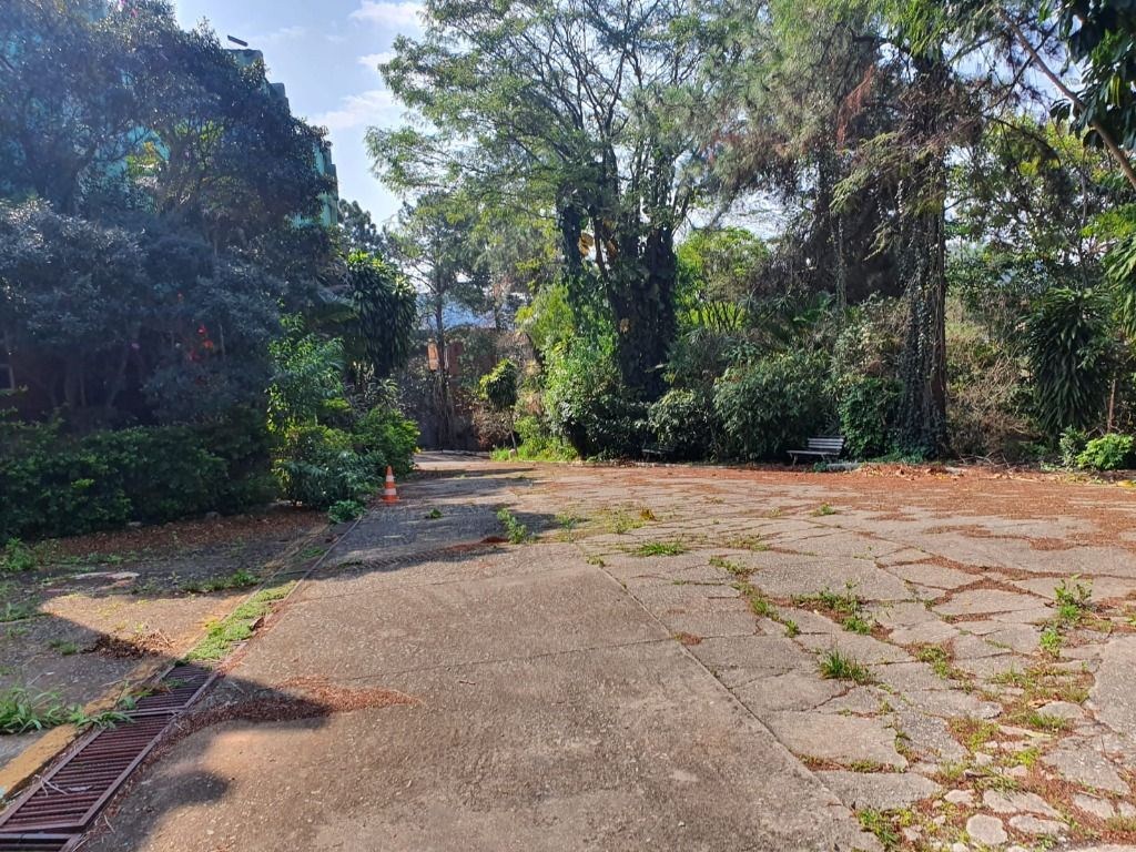 Terreno, 3 hectares - Foto 43