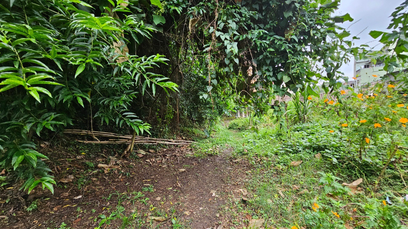 Apartamento, 2 quartos, 62 m² - Foto 27