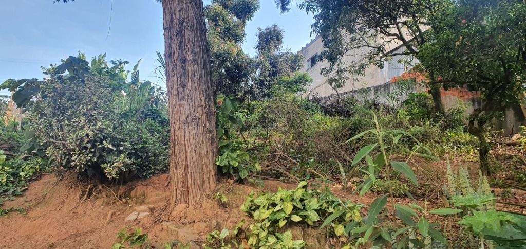 Terreno, 2000 m² - Foto 20