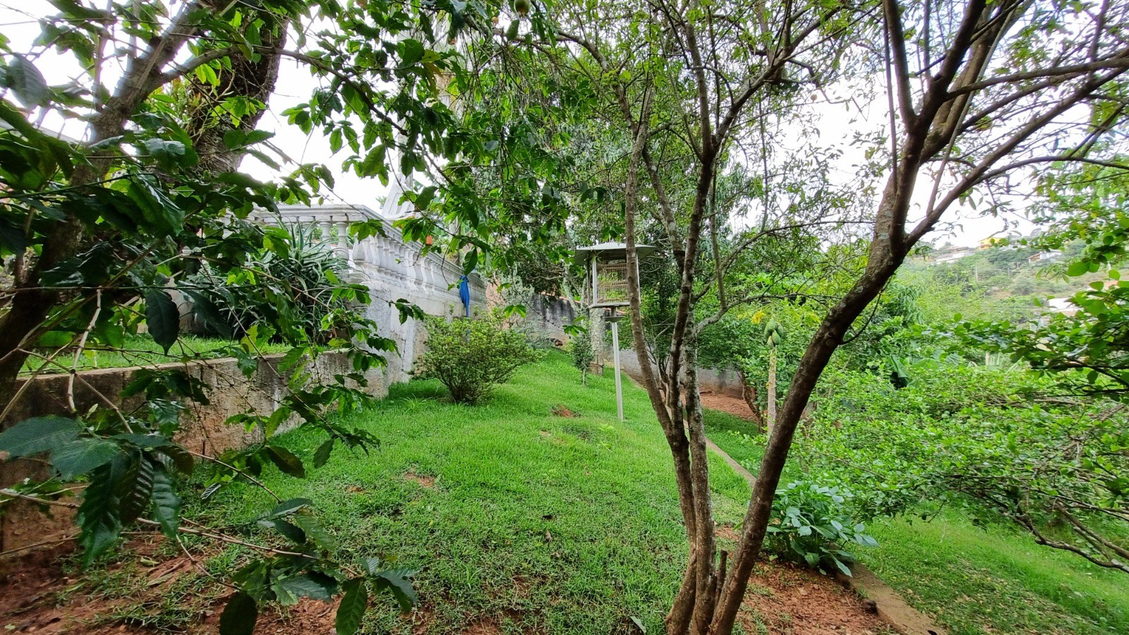 Chácara, 2 quartos, 1176 m² - Foto 38