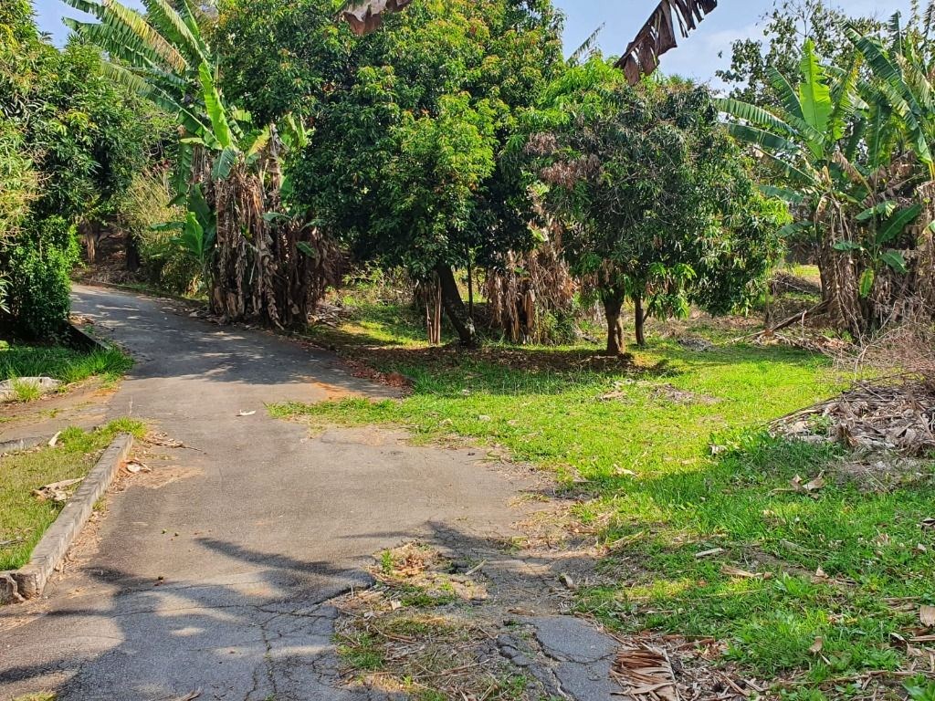 Terreno, 3 hectares - Foto 33