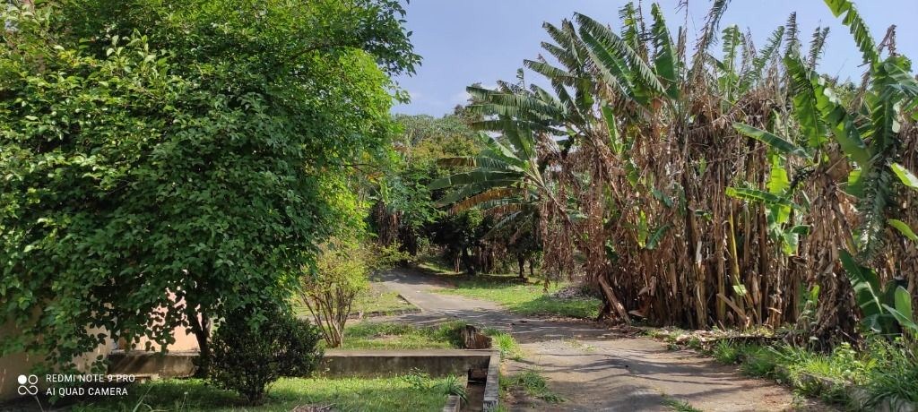 Terreno, 3 hectares - Foto 37