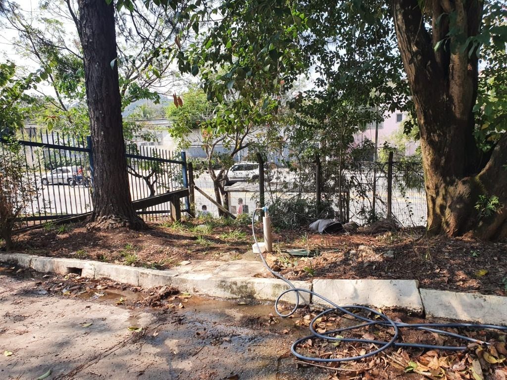 Terreno, 3 hectares - Foto 20