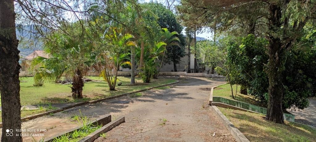 Terreno, 3 hectares - Foto 11