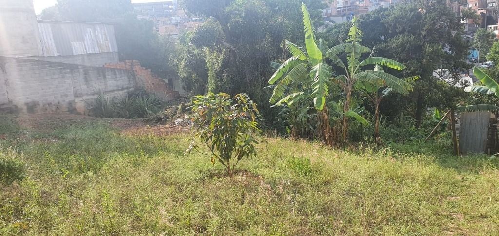 Terreno, 2000 m² - Foto 10