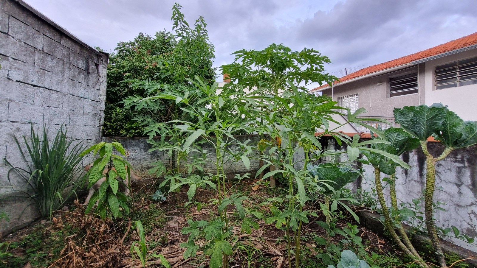 Casa, 2 quartos, 98 m² - Foto 19